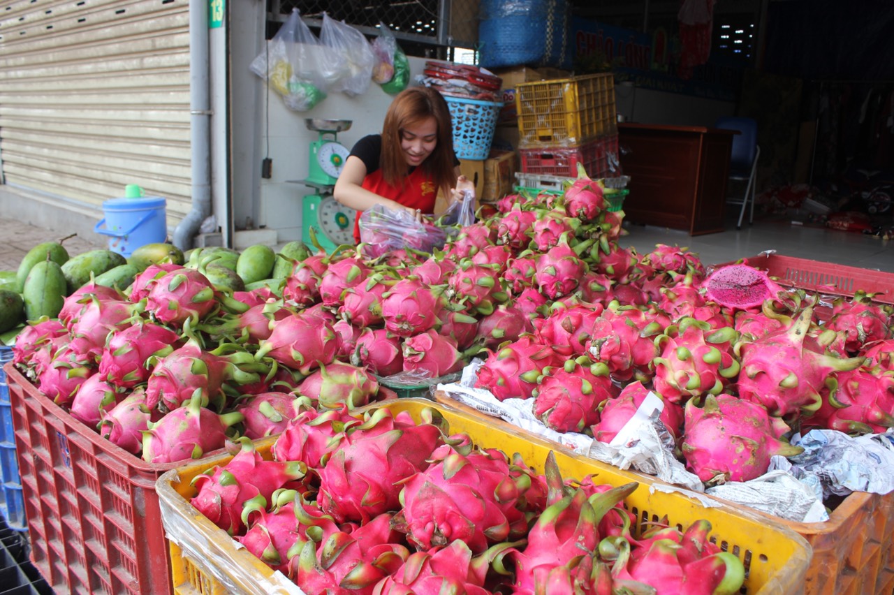 ThuhoachThanh Long.jpg?t=1779785404