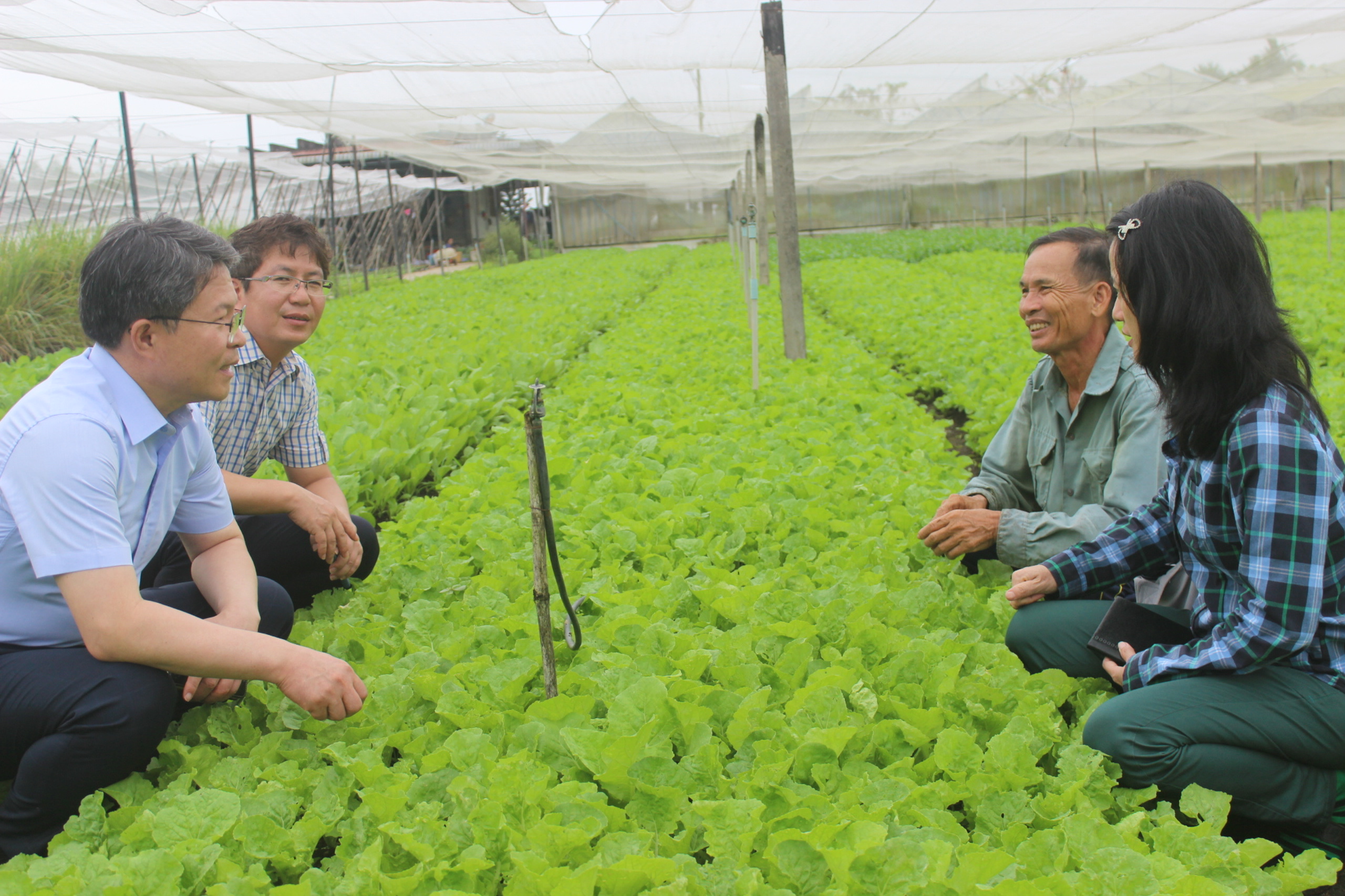 9.10-H2 Tin phát triển cây rau.jpg?t=1779785404