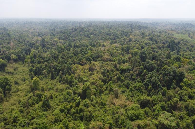 31.5.7.jpg?t=1779785404