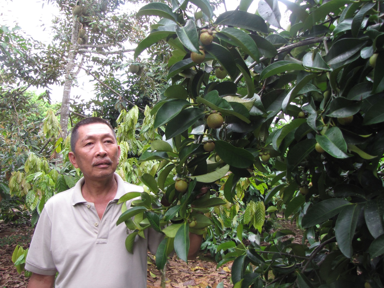h5.jpg?t=1779785404