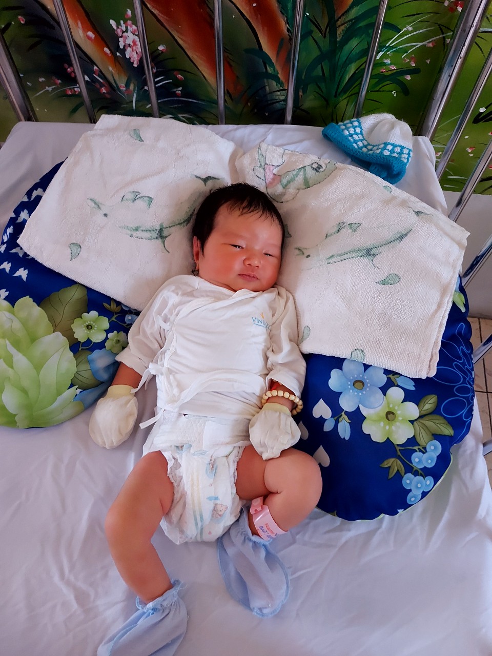 anh 285.jpg?t=1779785404