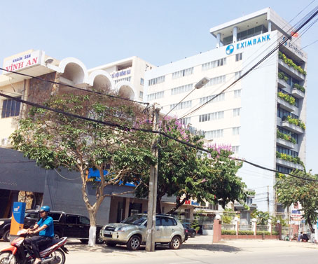 bienhoadexuatthaymoicayxanh2.jpg