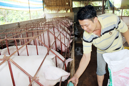 081016-chonthitantoanbangdienthoaithongminh.jpg
