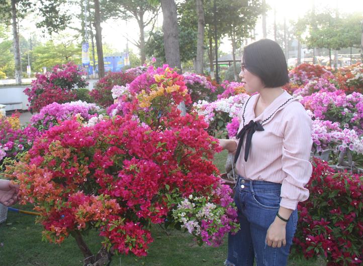 hinh 050224.1.jpg?t=1779785404