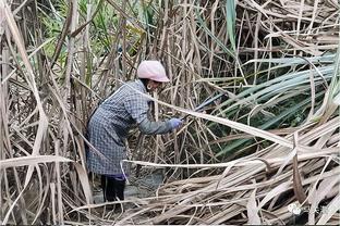 Năm 2021, toàn tỉnh giảm được 1.287 hộ nghèo dân tộc thiểu số