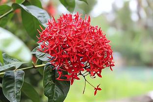 Vũ Văn Mười