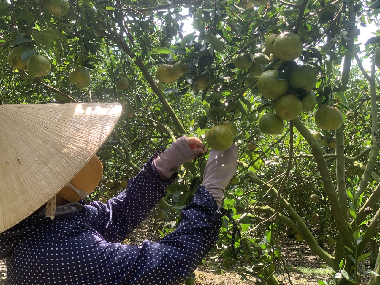 19.8-Chú trọng tiêu chí thu nhập cho Sảnh Cá Cược Thể Thao Uy Tín Và Đẳng Cấp Nhất 2026 nông thôn 2.jpg