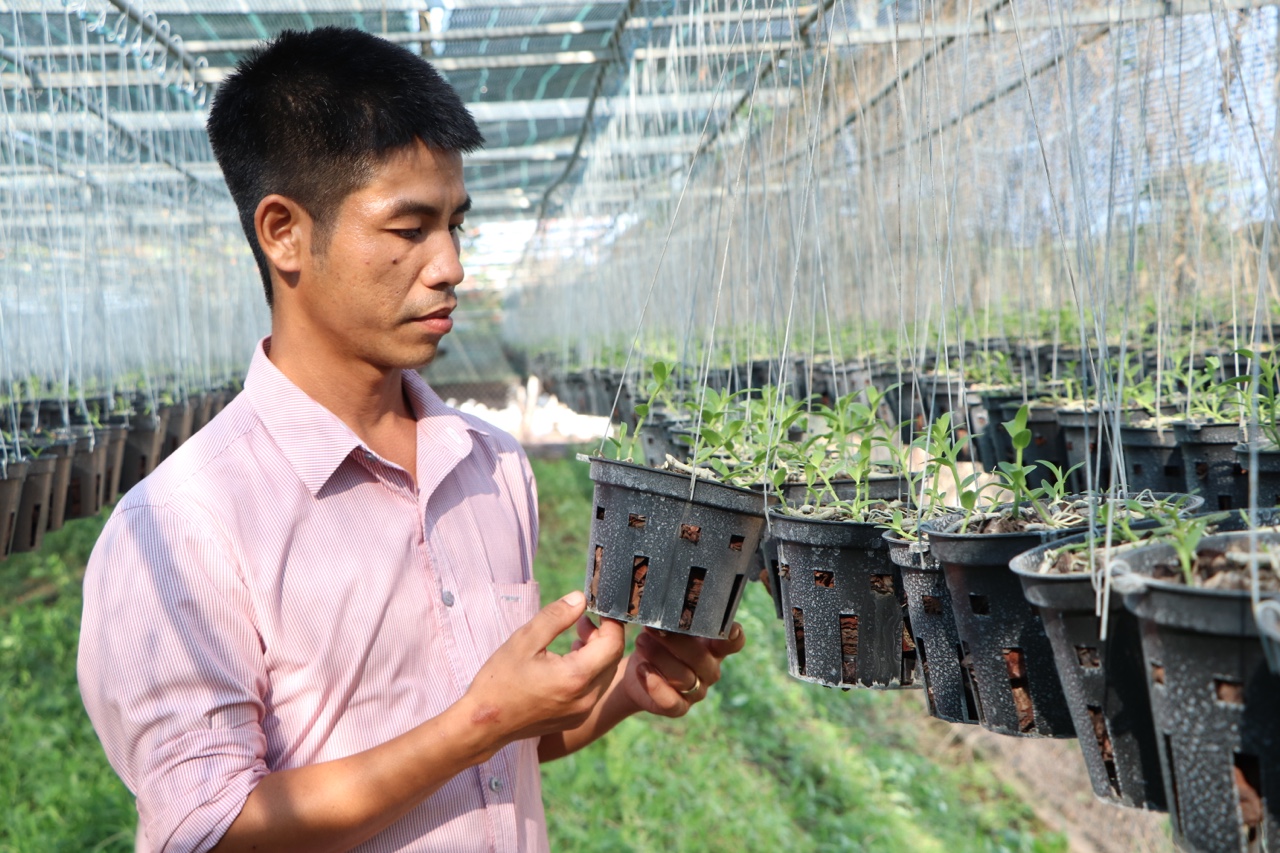 27.10-Nhiều giải pháp phục hồi sản xuất Nhà Cái Cược Thể Thao #1 | Đăng Nhập Chính Thức H2.jpg
