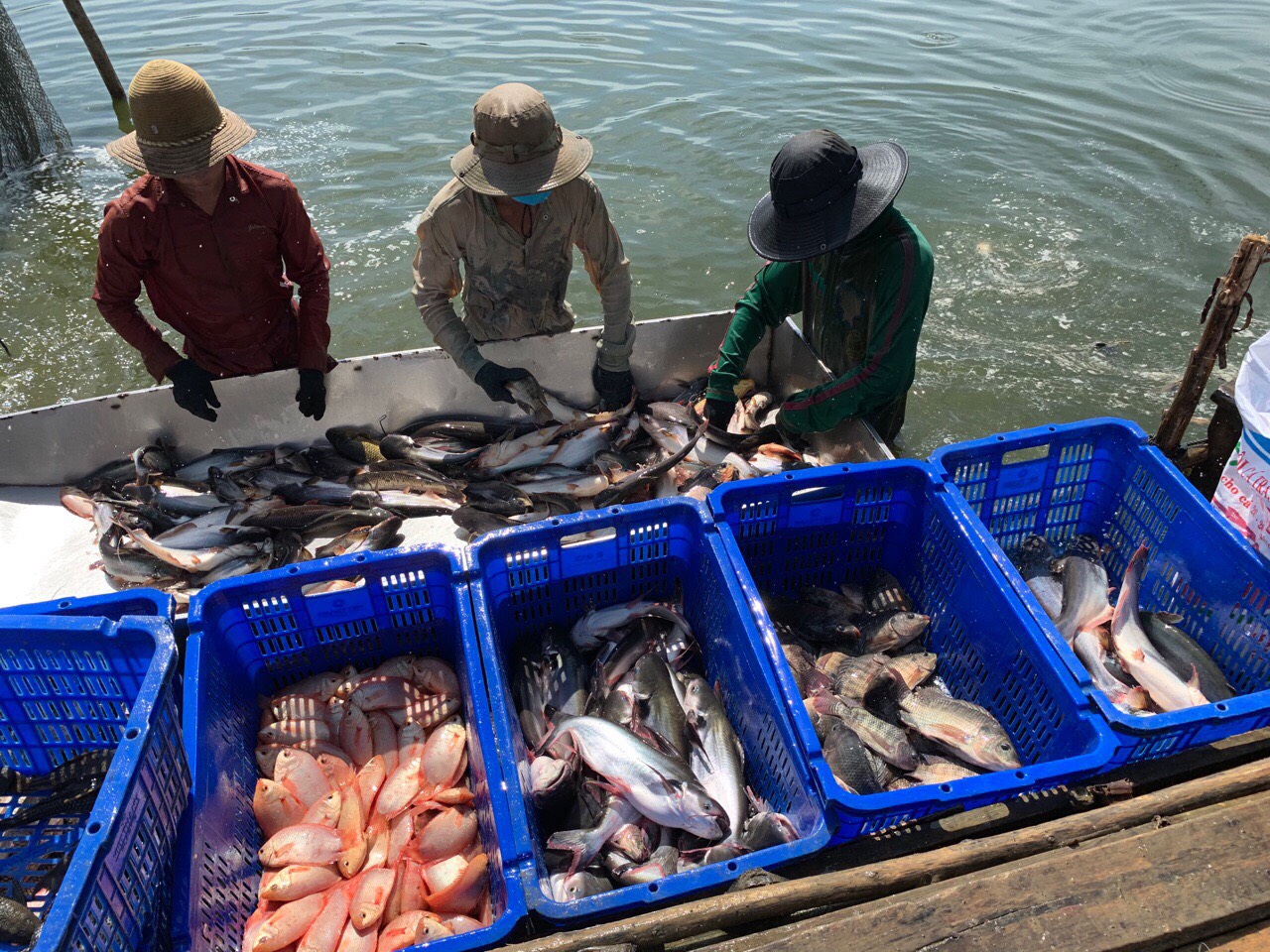 28.04.2020-10-3.jpg