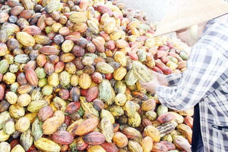 NM-260719-InvestmentInAgricultural.jpg
