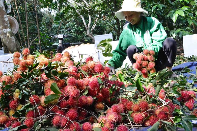378d7da7db0298ddba72f08eab830f7c-2023-07-26.10-55-57.jpg