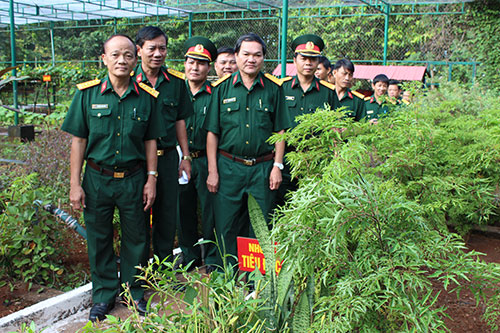 050115-hĩnh.jpg