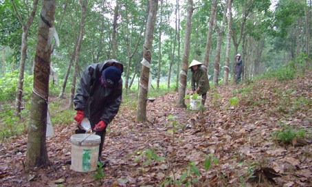 hinh 010821.23.jpg