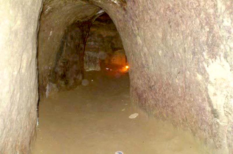 hinh 060223.1.jpg